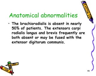 Anatomical abnormalities The brachioradialis is absent in nearly 50% of patients. The extensors carpi radialis longus and brevis frequently are both absent or may be fused with the extensor digitorum communis.   