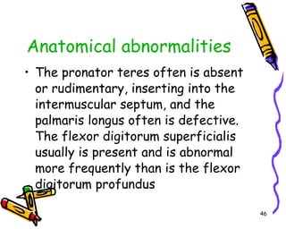 Anatomical abnormalities The pronator teres often is absent or rudimentary, inserting into the intermuscular septum, and the palmaris longus often is defective. The flexor digitorum superficialis usually is present and is abnormal more frequently than is the flexor digitorum profundus  