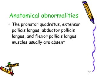 Anatomical abnormalities The pronator quadratus, extensor pollicis longus, abductor pollicis longus, and flexor pollicis longus muscles usually are absent 