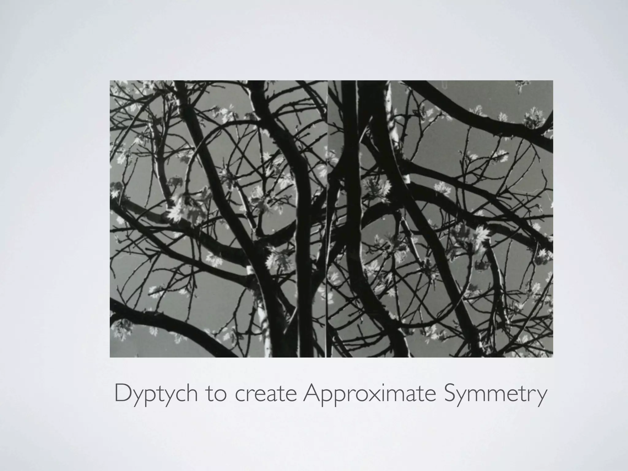 Dyptych to create Approximate Symmetry
 