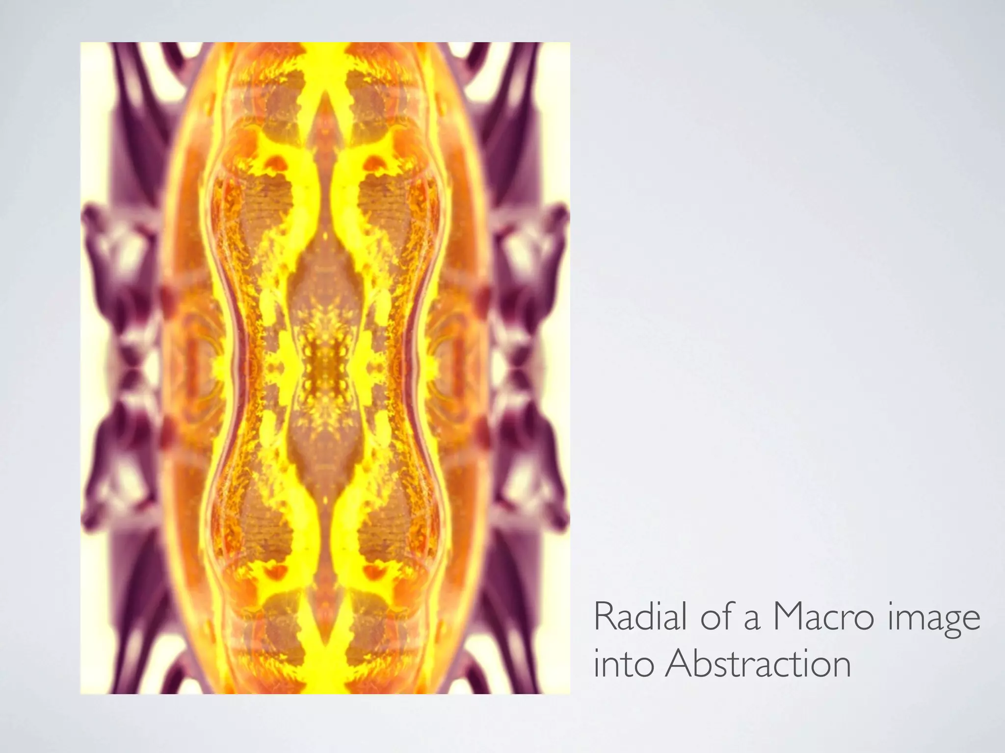 Radial of a Macro image
into Abstraction
 