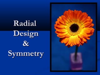 RadialRadial
DesignDesign
&&
SymmetrySymmetry
 