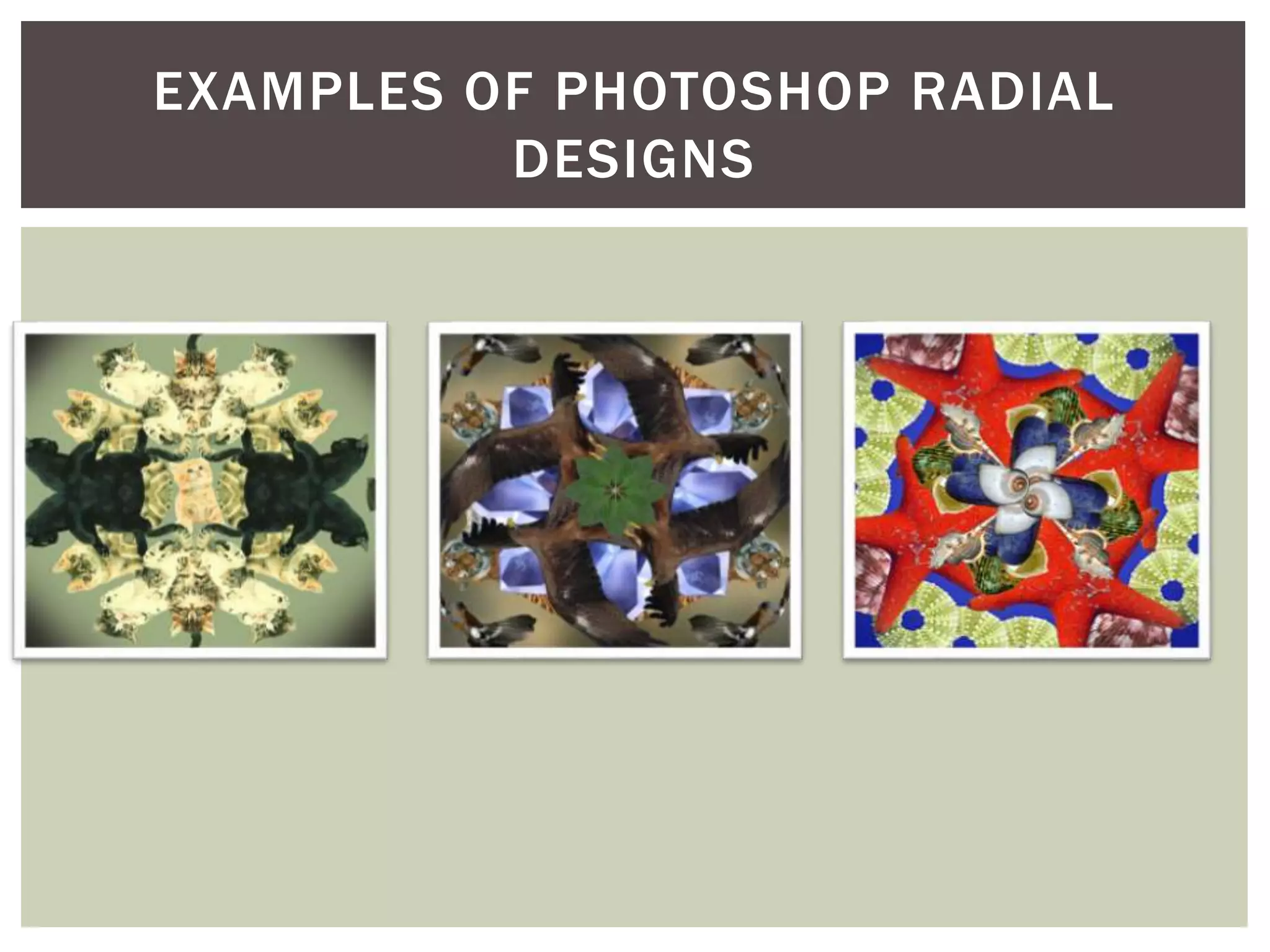 EXAMPLES OF PHOTOSHOP RADIAL
DESIGNS
 