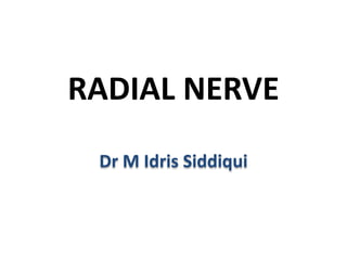 RADIAL NERVE
Dr M Idris Siddiqui
 