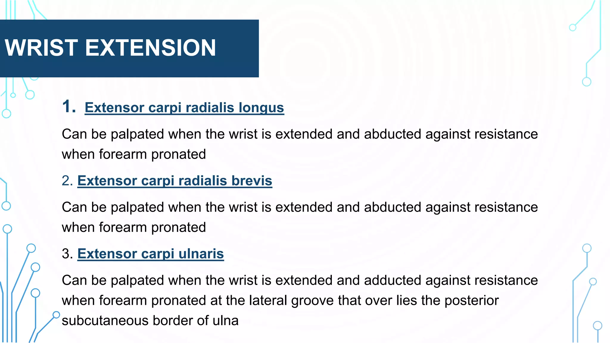 WRIST EXTENSION
1. Extensor carpi radialis longus
Can be palpated when the wrist is extended and abducted against resistance
when forearm pronated
2. Extensor carpi radialis brevis
Can be palpated when the wrist is extended and abducted against resistance
when forearm pronated
3. Extensor carpi ulnaris
Can be palpated when the wrist is extended and adducted against resistance
when forearm pronated at the lateral groove that over lies the posterior
subcutaneous border of ulna
 