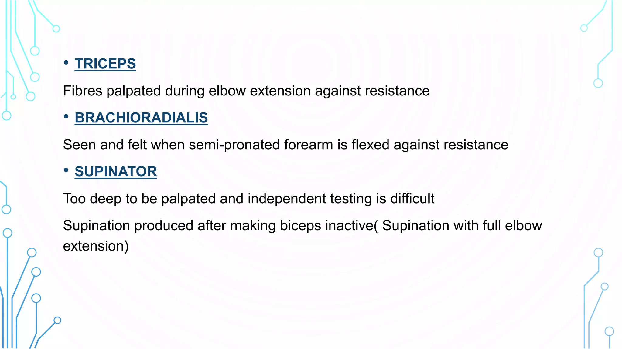 • TRICEPS
Fibres palpated during elbow extension against resistance
• BRACHIORADIALIS
Seen and felt when semi-pronated forearm is flexed against resistance
• SUPINATOR
Too deep to be palpated and independent testing is difficult
Supination produced after making biceps inactive( Supination with full elbow
extension)
 
