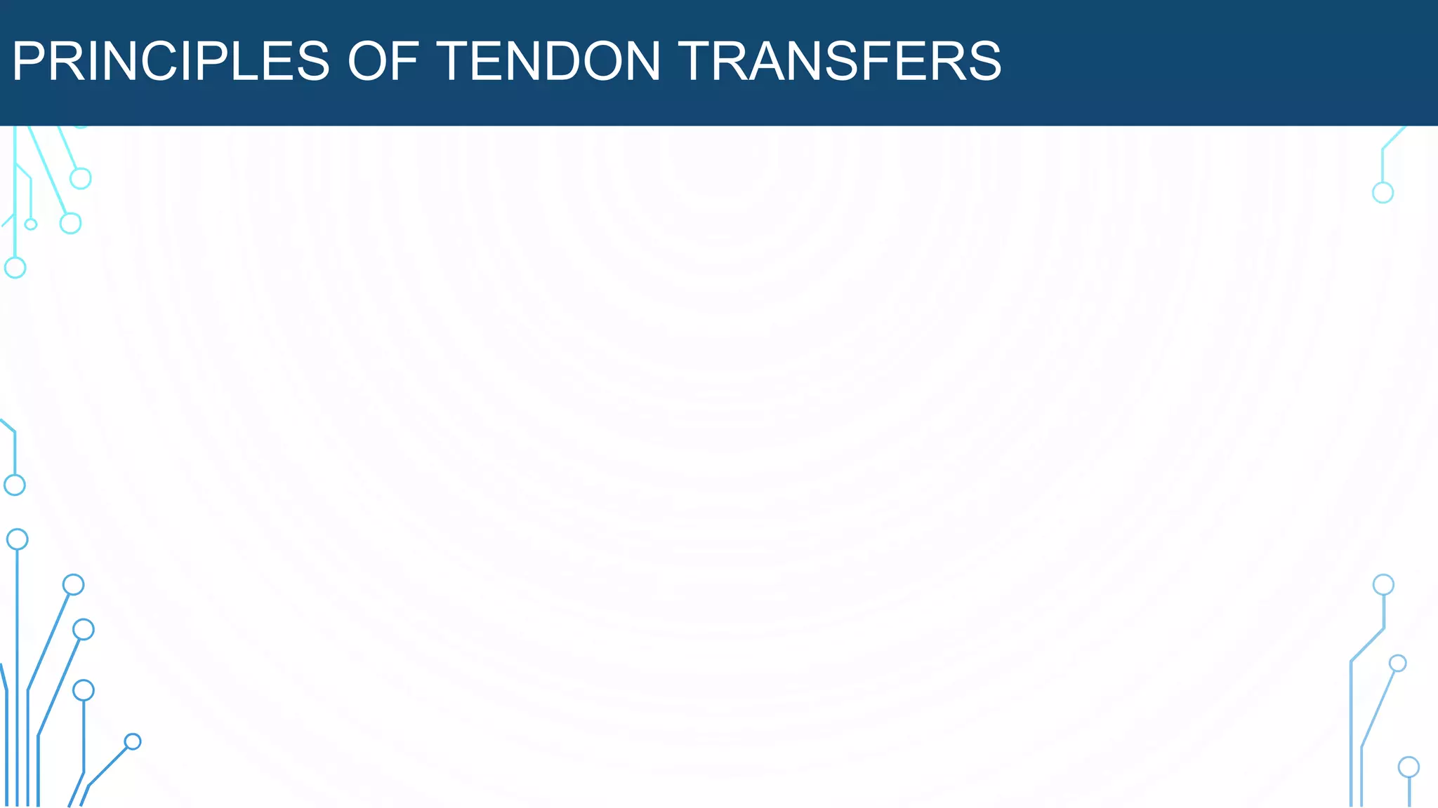 PRINCIPLES OF TENDON TRANSFERS
 