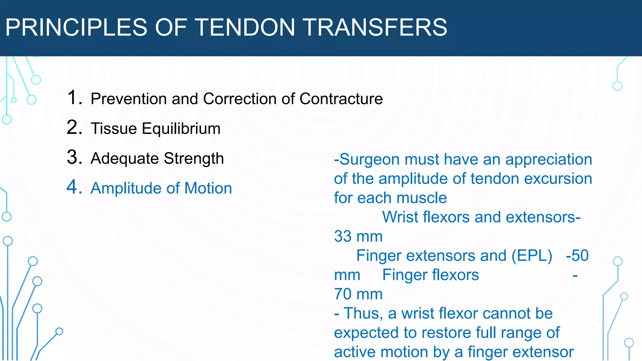 PRINCIPLES OF TENDON TRANSFERS
1. Prevention and Correction of Contracture
2. Tissue Equilibrium
3. Adequate Strength
4. Amplitude of Motion
-Surgeon must have an appreciation
of the amplitude of tendon excursion
for each muscle
Wrist flexors and extensors-
33 mm
Finger extensors and (EPL) -50
mm Finger flexors -
70 mm
- Thus, a wrist flexor cannot be
expected to restore full range of
active motion by a finger extensor
 