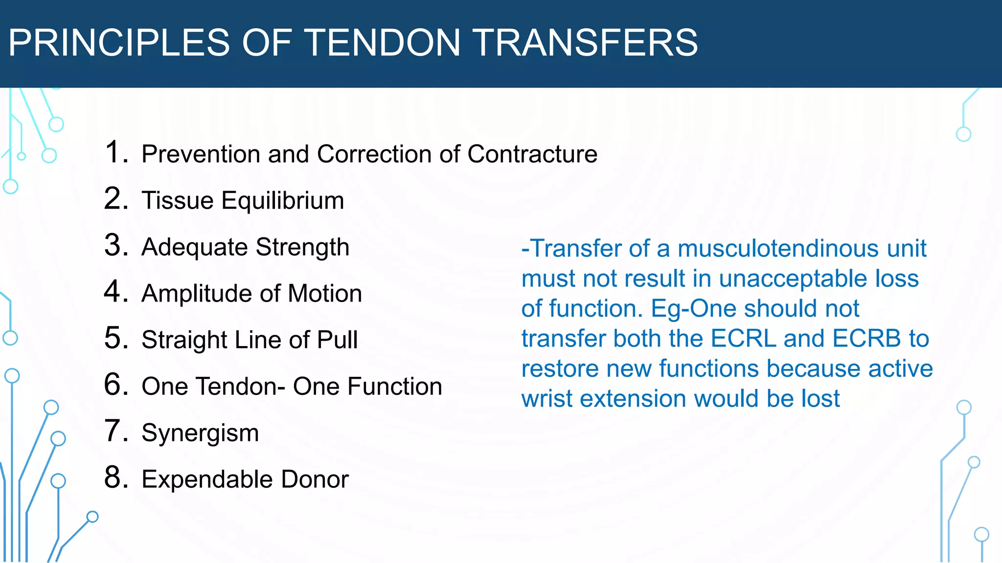 PRINCIPLES OF TENDON TRANSFERS
1. Prevention and Correction of Contracture
2. Tissue Equilibrium
3. Adequate Strength
4. Amplitude of Motion
5. Straight Line of Pull
6. One Tendon- One Function
7. Synergism
8. Expendable Donor
-Transfer of a musculotendinous unit
must not result in unacceptable loss
of function. Eg-One should not
transfer both the ECRL and ECRB to
restore new functions because active
wrist extension would be lost
 