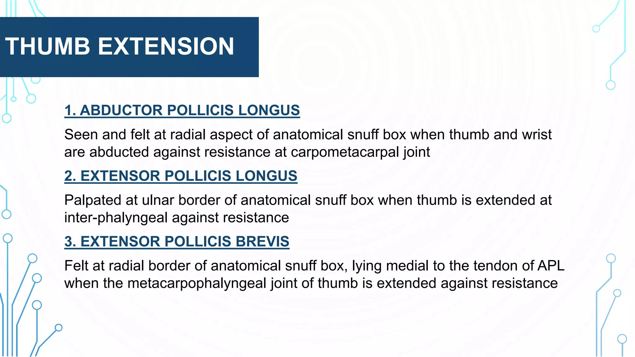 THUMB EXTENSION
1. ABDUCTOR POLLICIS LONGUS
Seen and felt at radial aspect of anatomical snuff box when thumb and wrist
are abducted against resistance at carpometacarpal joint
2. EXTENSOR POLLICIS LONGUS
Palpated at ulnar border of anatomical snuff box when thumb is extended at
inter-phalyngeal against resistance
3. EXTENSOR POLLICIS BREVIS
Felt at radial border of anatomical snuff box, lying medial to the tendon of APL
when the metacarpophalyngeal joint of thumb is extended against resistance
 