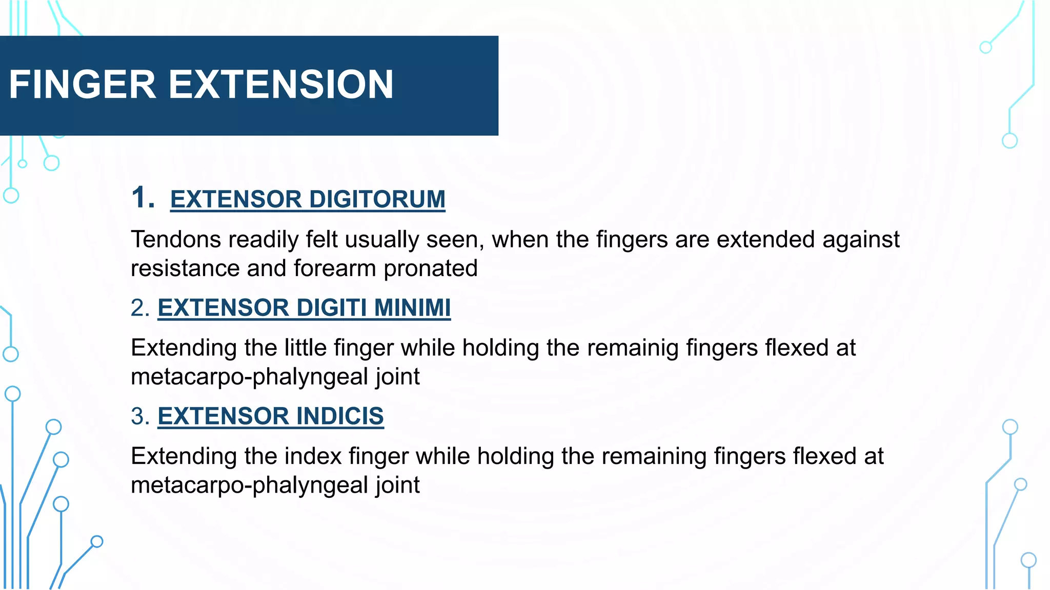 FINGER EXTENSION
1. EXTENSOR DIGITORUM
Tendons readily felt usually seen, when the fingers are extended against
resistance and forearm pronated
2. EXTENSOR DIGITI MINIMI
Extending the little finger while holding the remainig fingers flexed at
metacarpo-phalyngeal joint
3. EXTENSOR INDICIS
Extending the index finger while holding the remaining fingers flexed at
metacarpo-phalyngeal joint
 