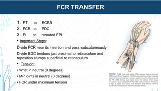 Fcr Tendon Incision Radial nerve | PPTX