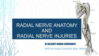 RADIAL NERVE ANATOMY
AND
RADIAL NERVE INJURIES
BY:DR.AMIT KUMAR CHOUDHARY
DEPT OF PLASTIC SURGERY, RIMS, IMPHAL
 