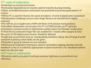 radial nerve.pdfijijijijijijijijijijijijijij | PDF