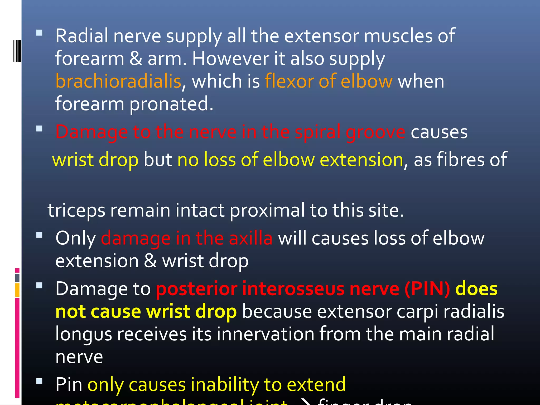  Radial nerve supply all the extensor muscles of
forearm & arm. However it also supply
brachioradialis, which is flexor of elbow when
forearm pronated.
 Damage to the nerve in the spiral groove causes
wrist drop but no loss of elbow extension, as fibres of
triceps remain intact proximal to this site.
 Only damage in the axilla will causes loss of elbow
extension & wrist drop
 Damage to posterior interosseus nerve (PIN) does
not cause wrist drop because extensor carpi radialis
longus receives its innervation from the main radial
nerve
 Pin only causes inability to extend
 