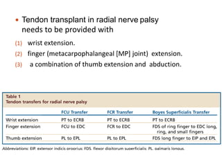  Tendon transplant in radial nerve palsy
needs to be provided with
(1) wrist extension.
(2) finger (metacarpophalangeal [MP] joint) extension.
(3) a combination of thumb extension and abduction.
 