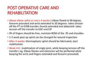 Ipj Rom GENERAL APPROCH TO NERVE INJURY AND RADIAL NERVE INJURY MANAGEMENT.pptx