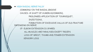  HIGH RADIAL NERVE PALSY
COMMONLY IN THE RADIAL GROOVE
CAUSES- # SHAFT OF HUMERUS(COMMON),
PROLONGED APPLICATION OF TOURNIQUET,
INJECTIONS,
FORMATION OF EXCESSIVE CALLUS OF OLD FRACTURE
IMPINGING ON NERVE
CF- ELBOW EXTENSION IS SPARED
ALL MUSCLES ARE PARALYSED EXCEPT TRICEPS
LOSS OF WRIST, THUMB AND FINGER EXTENSION
SENSORY LOSS
 