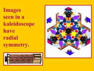 Images  seen in a kaleidoscope  have radial  symmetry. 