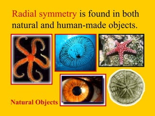 Radial symmetry  is found in both natural and human-made objects. Natural Objects 
