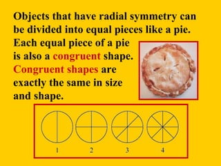 Objects that have radial symmetry can be divided into equal pieces like a pie. Each equal piece of a pie  is also a  congruent  shape.  Congruent shapes  are  exactly the same in size  and shape. 