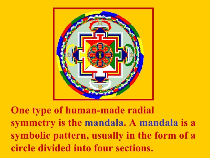 radial symmetry radial images