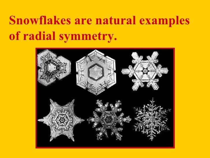 Radial symmetry