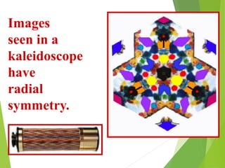 Images
seen in a
kaleidoscope
have
radial
symmetry.
 