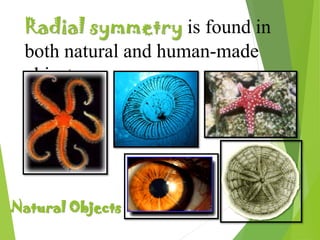Radial symmetry is found in
both natural and human-made
objects.
Natural Objects
 