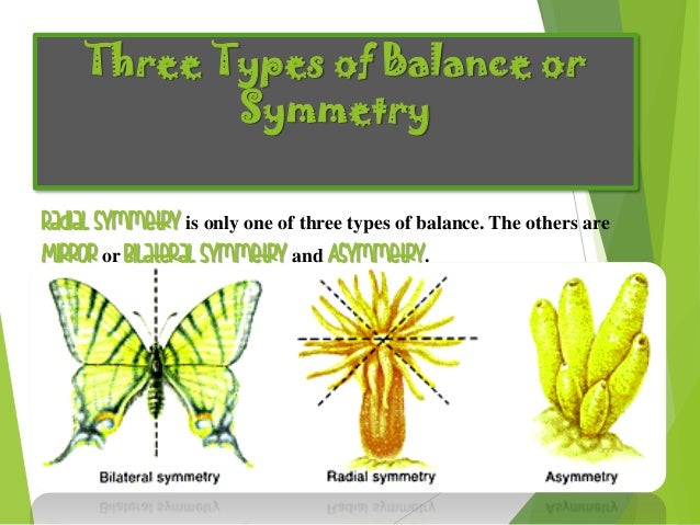 radialsymmetry symmetry power point
