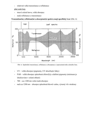 Radiační měření   přednes 05112008