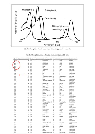 Radiační měření   přednes 05112008