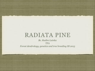 RADIATA PINE
Bc. Radim Lainka
TFA
Forest dendrology, genetics and tree breeding SS 2015
 