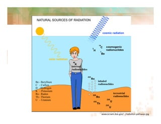 Radiation | PDF