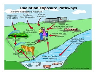Radiation | PDF