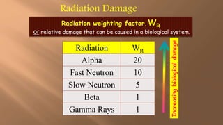 Radiation Damage
Radiation weighting factor, WR
or relative damage that can be caused in a biological system.
Radiation WR
Alpha 20
Fast Neutron 10
Slow Neutron 5
Beta 1
Gamma Rays 1
Increasing
biological
damage
 