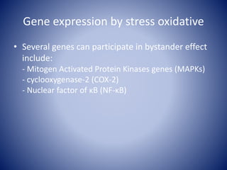 Radiation induced bystander effect | PPTX