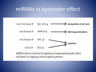 Radiation induced bystander effect | PPTX