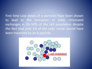 Radiation induced bystander effect | PPTX