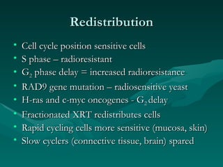 Redistribution Cell cycle position sensitive cells S phase – radioresistant G 2  phase delay = increased radioresistance RAD9 gene mutation – radiosensitive yeast H-ras and c-myc oncogenes - G 2  delay Fractionated XRT redistributes cells Rapid cycling cells more sensitive (mucosa, skin) Slow cyclers (connective tissue, brain) spared 