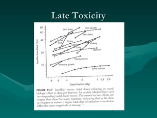 Late Toxicity 