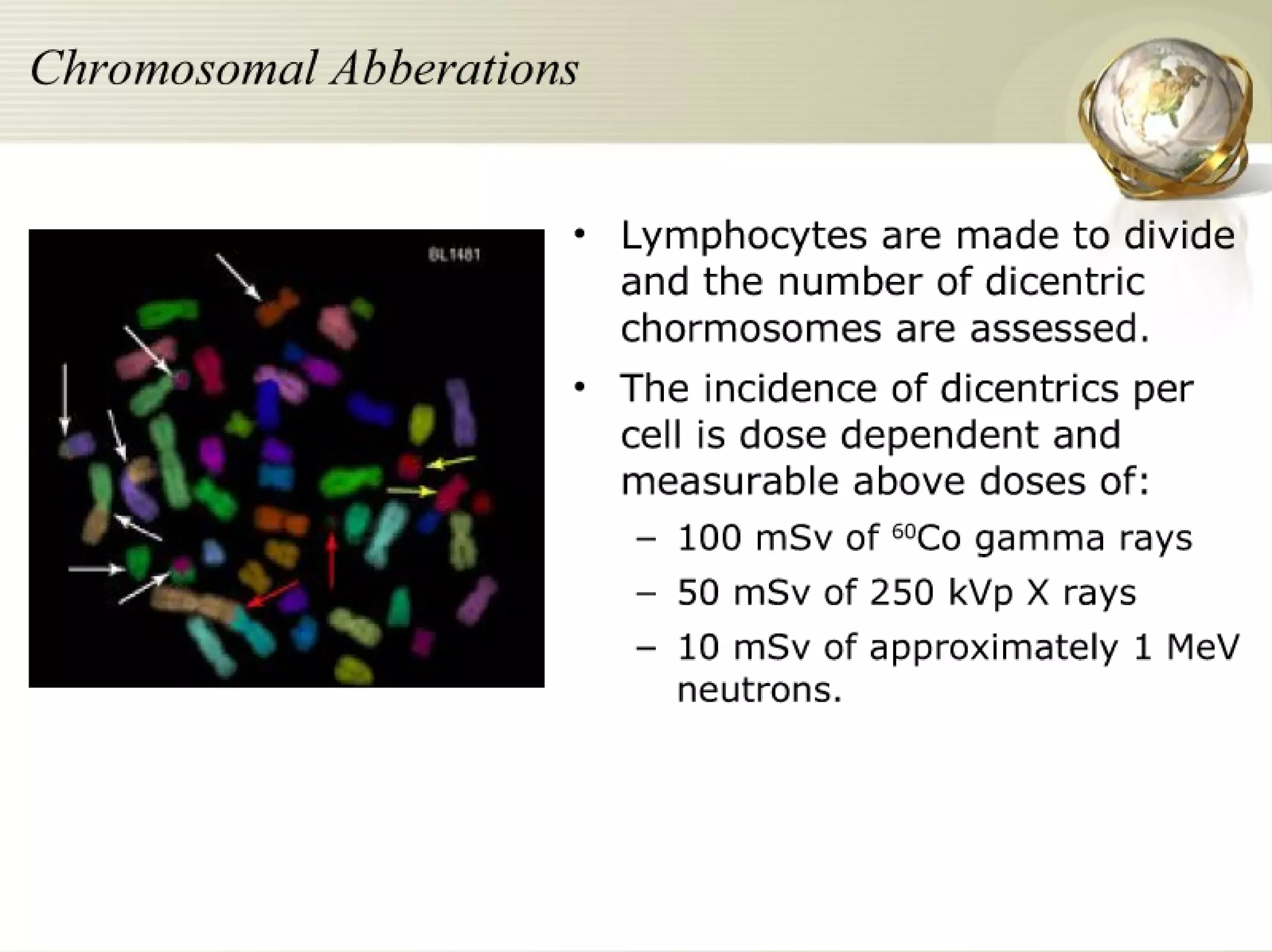 Radiation Protection