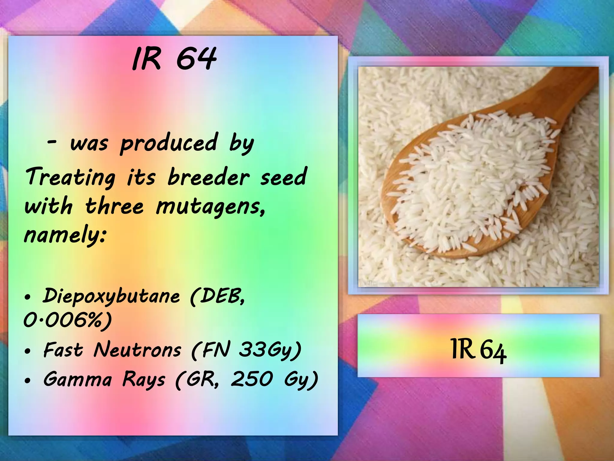 IR 64
- was produced by
Treating its breeder seed
with three mutagens,
namely:
• Diepoxybutane (DEB,
0.006%)
• Fast Neutrons (FN 33Gy)
• Gamma Rays (GR, 250 Gy)
IR 64
 