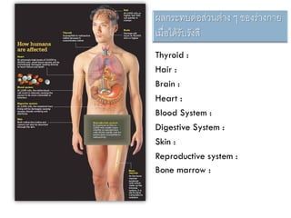 Thyroid :
Hair :
Brain :
Heart :
Blood System :
Digestive System :
Skin :
Reproductive system :
Bone marrow :
 