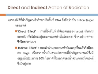 Direct and Indirect Action of Radiation

ผลของรังสีที่สาคัญทางชีววิทยาเกิดขึ้นที่ DNA ซึ่งถือว่าเป็น critical target
     ของเซลล์
    “Direct Effect” : การที่รังสีไปทาให้อะตอมของ target เกิดการ
       แตกตัวหรือไปกระตุ้นอะตอมเหล่า นั้น โดยตรง ซึ่งจะส่งผลทาง
       ชีววิทยาตามมา
     Indirect Effect” : กระทาผ่านอะตอมหรือโมเลกุลอื่นแล้วจึงมีผล
       ต่อ target เนื่องจากน้าเป็นส่วนประกอบที่สาคัญของเซลล์ ซึ่งมี
       อยู่สูงถึงประมาณ 80% โอกาสที่โมเลกุลของน้าจะแตกตัวโดยรังสี
       จึงมีอยู่มาก
 
