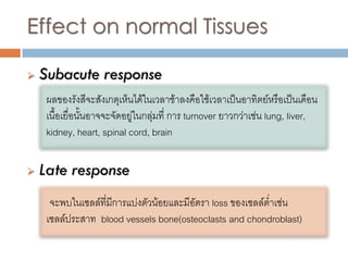 Effect on normal Tissues

   Subacute response
     ผลของรังสีจะสังเกตุเห็นได้ในเวลาช้าลงคือใช้เวลาเป็นอาทิตย์หรือเป็นเดือน
     เนื้อเยื่อนั้นอาจจะจัดอยู่ในกลุ่มที่ การ turnover ยาวกว่าเช่น lung, liver,
     kidney, heart, spinal cord, brain

   Late response
      จะพบในเซลล์ที่มีการแบ่งตัวน้อยและมีอัตรา loss ของเซลล์ต่าเช่น
     เซลล์ประสาท blood vessels bone(osteoclasts and chondroblast)
 