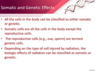 Somatic Effect Radiation biology | PPTX