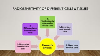 Radiosensitive Tissues Radiation biology in oral and maxilofacial radiology.pptx