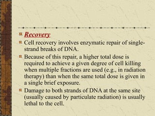 Radiation Biology.pptx oral medicine and radiology | PPTX