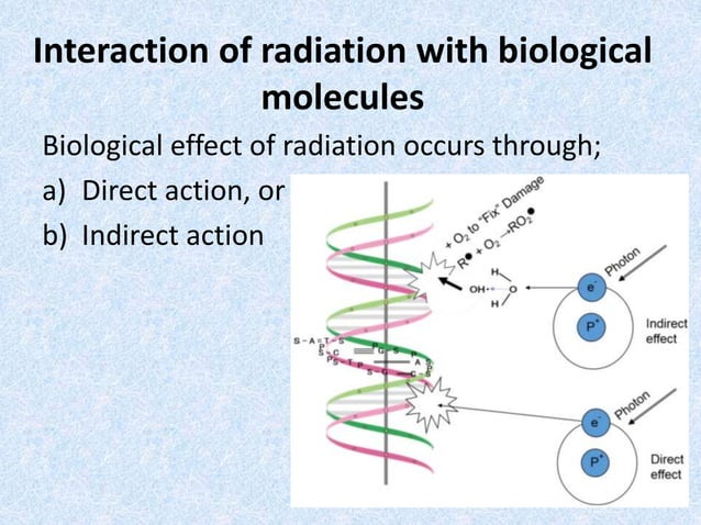 Radiation biology | PPTX | Genetics | Science